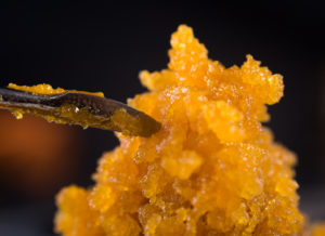 Macro detail of cannabis concentrate with dabbing tool