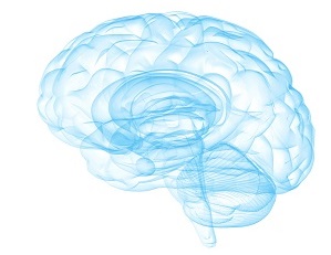 Blue transparent brain