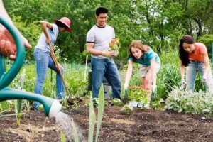 Group of teens working in a community garden