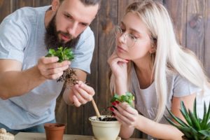 Couple looking at plant roots while putting plants into pots