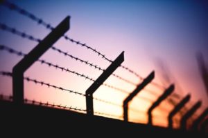 Barbed wire fence at sunset