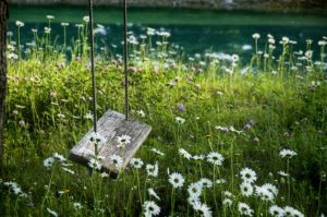 Tree swing surrounded by flowers