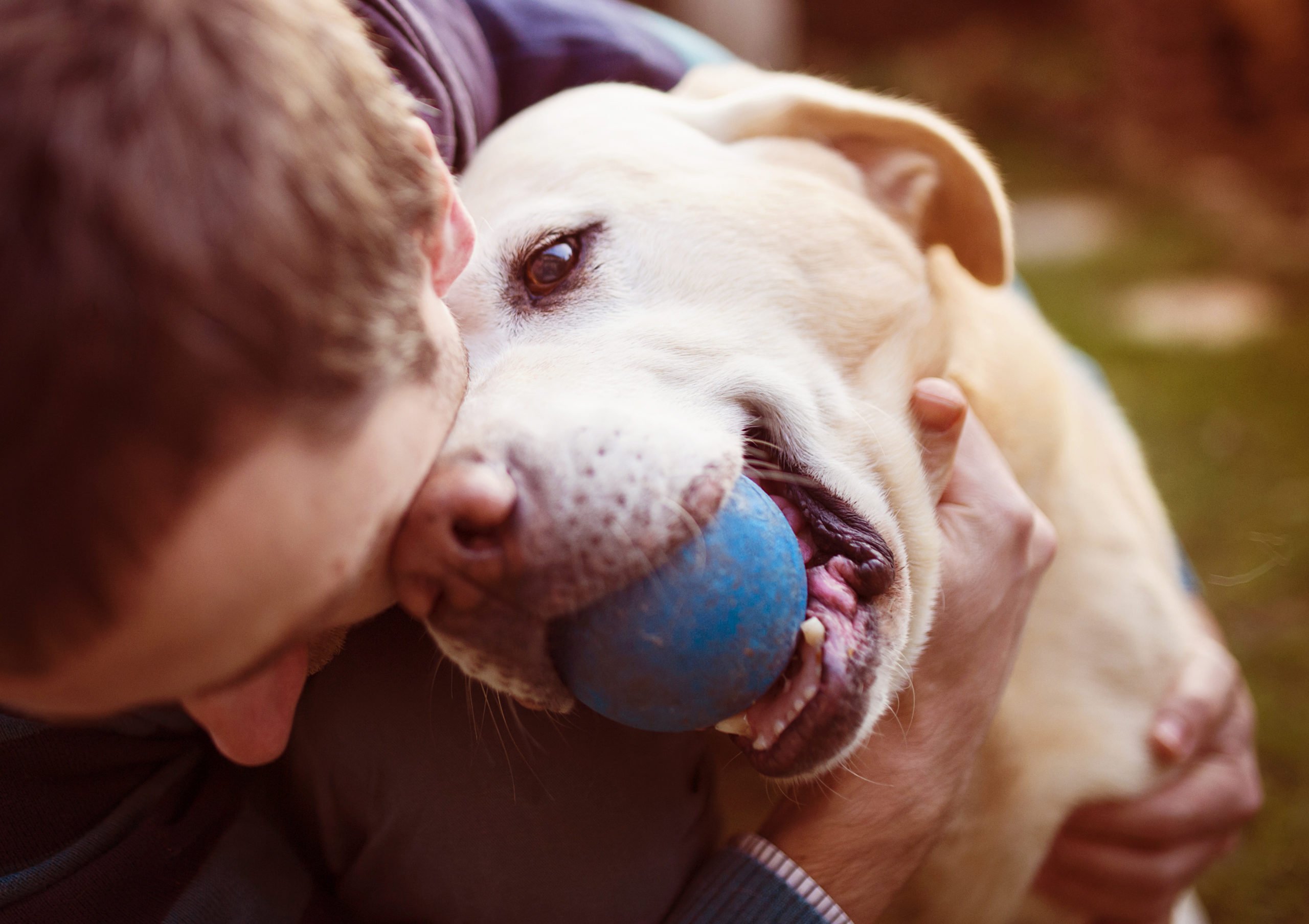 GoodTherapy | Hug your pet