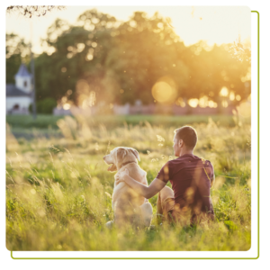 Grieving the Loss of a Pet After Euthanasia 4 Man with his dog at sunset