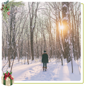 woman walking away in snowy forest 