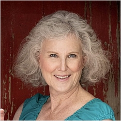 Lisa Schmidt, LPC, LMFT