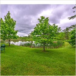 Lisa Orenstein, LCSW-C