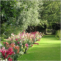 Julia Sayre, LMFT, CT