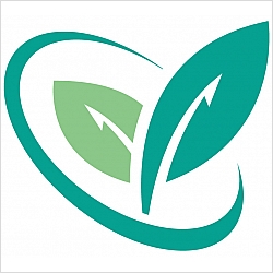 Matthew  Quick, Licensed Professional Counselor, National Certified Counselor