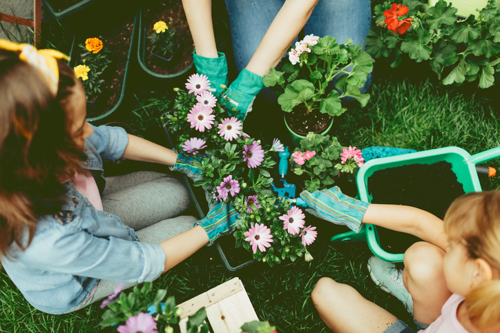 Daughters plant flowers in the yard with their mother.