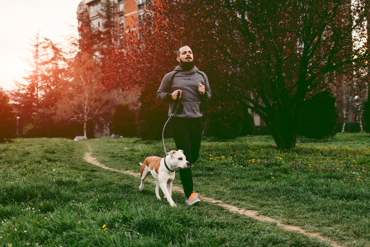 Man jogging with his dog through grass, early in the morning