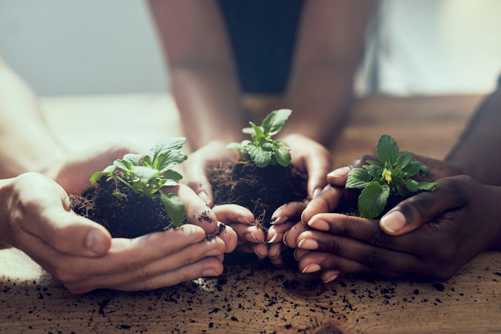 Three people hold baby plants rooted in soil.