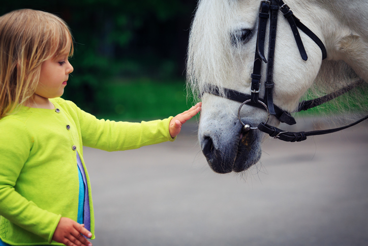 Child of about six years old with long hair reaches out to pet horse