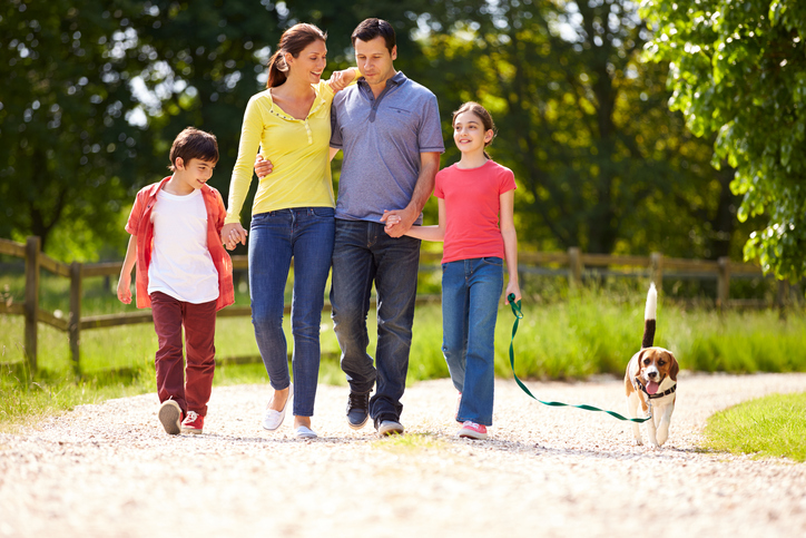 A family walks their dog on a sunny day.