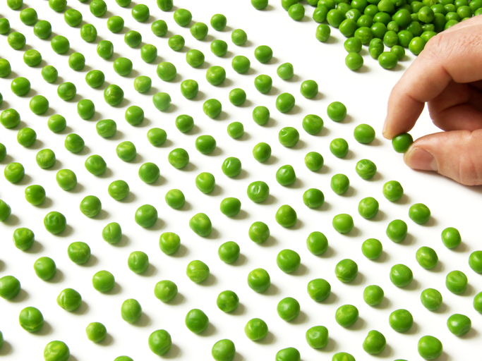 A hand organizes peas in a grid.