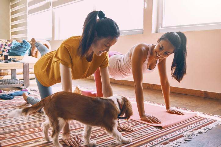 Two friends practice yoga while their dog watches.