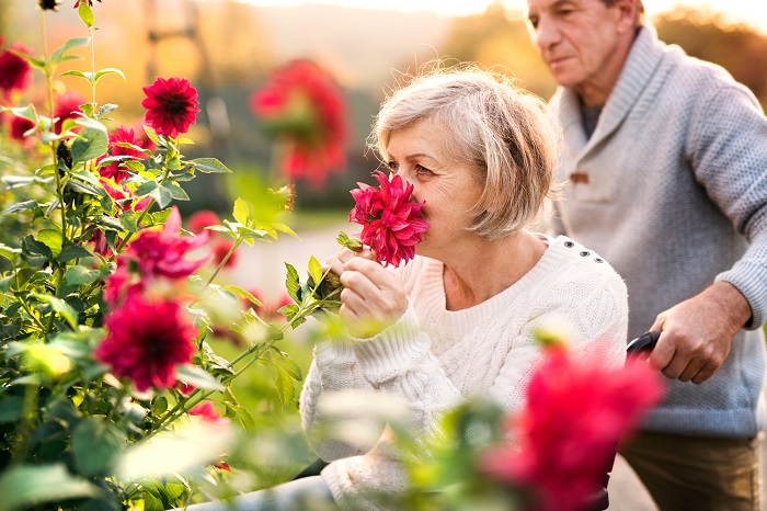 Caring for elderly family member in flower garden