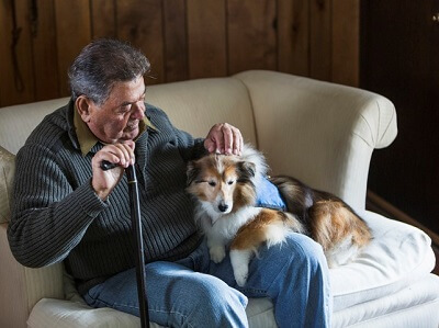 An older man sits on a love seat with his service dog.