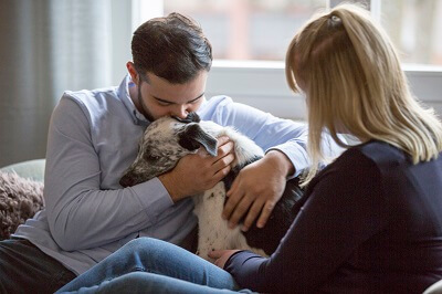 Man hugging a comforting therapy dog in an animal-assisted therapy session