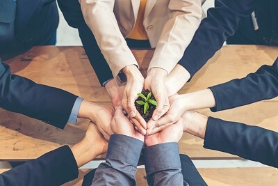 Many professionals holding young plant in their hands