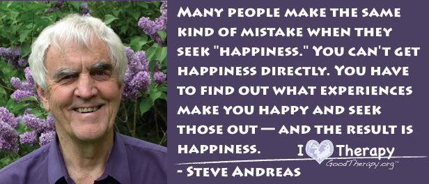 Quote on happiness by Steve Andreas