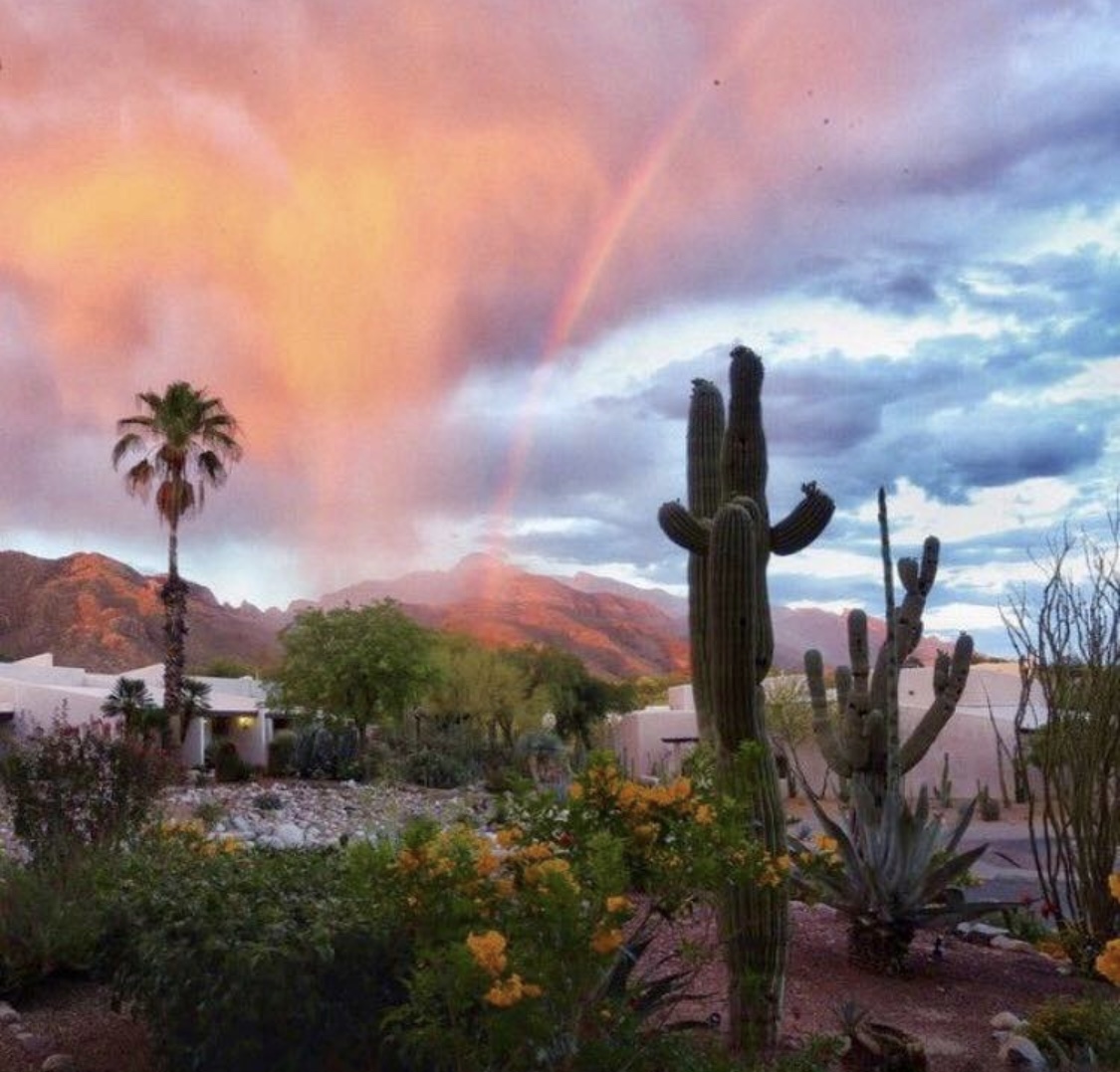 Cottonwood Tucson, Treatment Center in Tucson