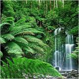 Haley Hansmeier M.A., NCC, LPCC