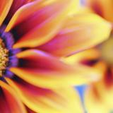 Liz Witzke Registered Psychotherapist (Qualifying)