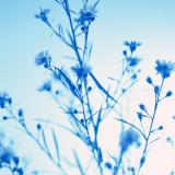 Peter Tegner Licensed Social Worker