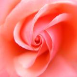 Sara Leonard Licensed Social Worker