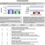 Sample couple's report