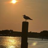Reminder of life\'s beauty