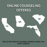 Virtual Counseling Sessions offered in Georgia, Flordia, California, and South Carolina!