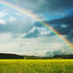 Rainbow over green field with dark clouds in the sky