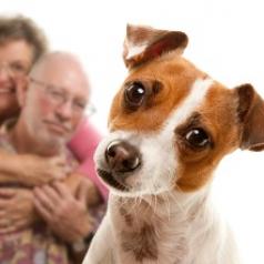 older-couple-embracing-behind-dog