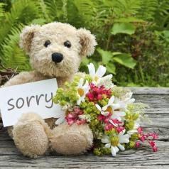 Teddy bear with flowers and a sorry note