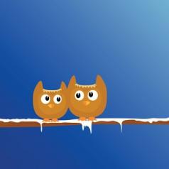 owls perching on snowy branch