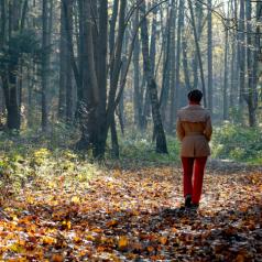 A woman walks through an autumn forest