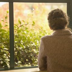 Rear view of a mid adult woman looking through a window
