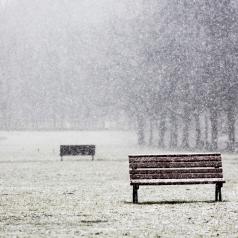 An empty park bench in a snowstorm