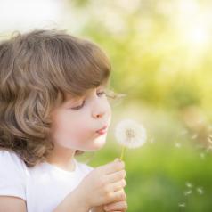 child blowing on dandelion