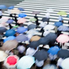 people with umbrellas waiting to cross street