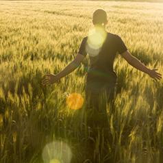 Young Man in Wheat Field