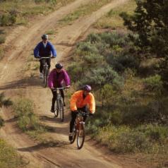 Group of three ride mountain bikes on dirt road
