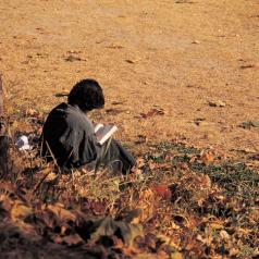 person sitting in fall leaves