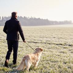 Man walking dog in field