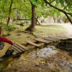 Young woman sitting on bridge in forest