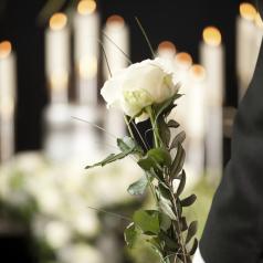 Person standing with a white rose at a funeral