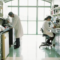 Two scientists do research in a lab