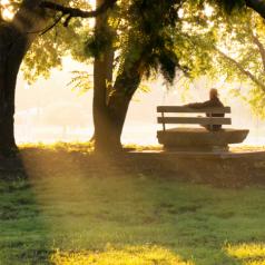 person sits on park bench under trees